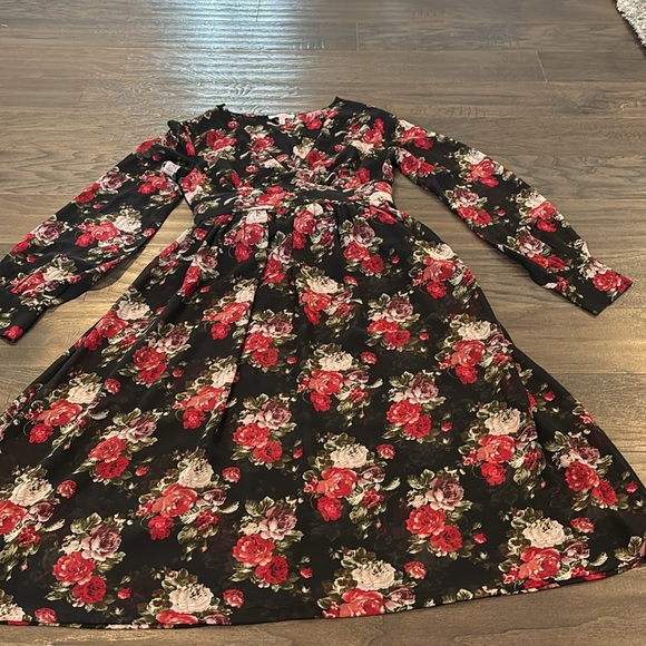 Re-Named Long Sleeve,Floral V-neck, lightweight,sheer, lined upper - Picture 2 of 15